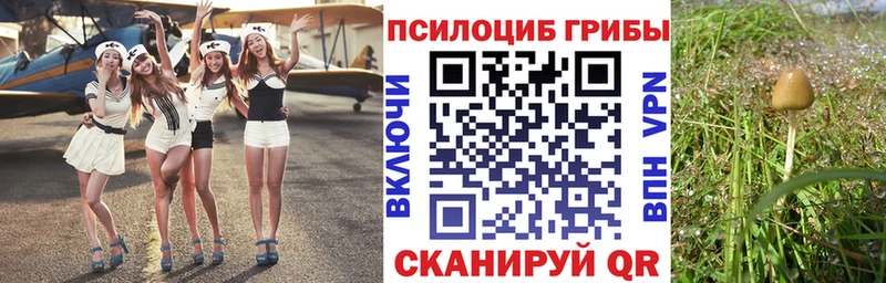 Галлюциногенные грибы Cubensis  наркота  Козьмодемьянск 